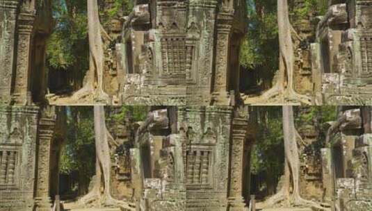Ta Prohm高棉寺庙与杂草丛生的树根，吴哥，柬埔寨高清在线视频素材下载