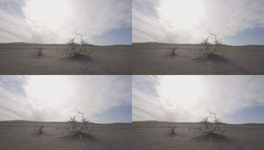 在沙漠上扬沙高清在线视频素材下载