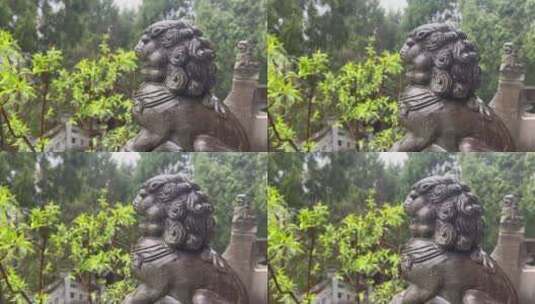 下雨天石雕石狮子绿植高清在线视频素材下载