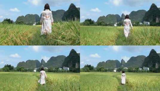 美女走在稻田中亲近自然高清在线视频素材下载