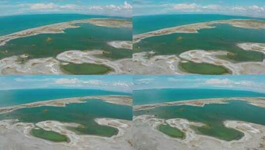 乌伦古湖候鸟湿地高清在线视频素材下载