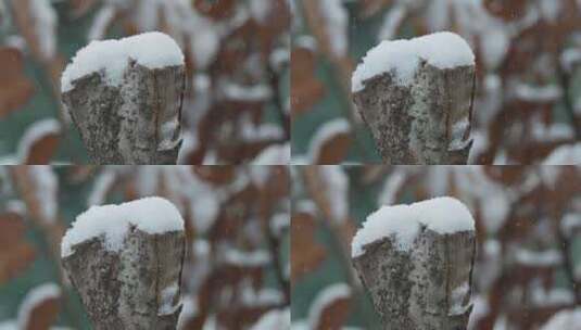 冬季下雪鹅毛大雪树桩积雪高清在线视频素材下载