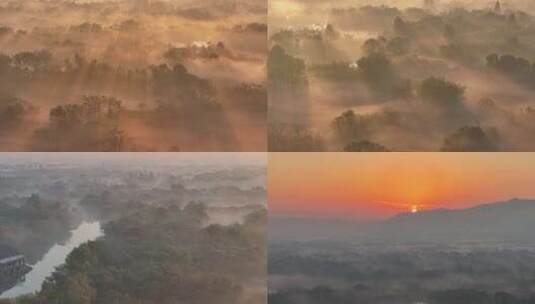 杭州西溪湿地初冬晨雾云雾缭绕（稀缺合集）高清在线视频素材下载