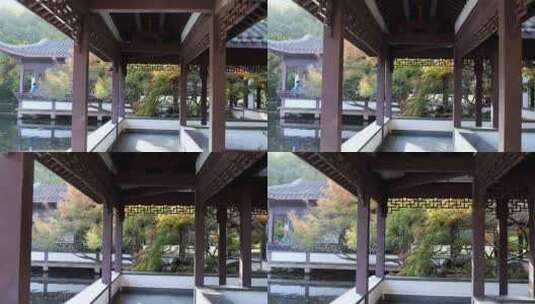 杭州西湖曲院风荷江南水榭长廊枫叶高清在线视频素材下载