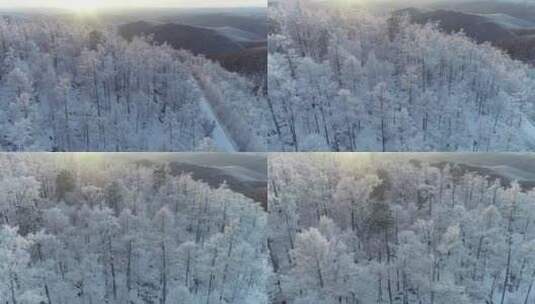 航拍大兴安岭冰雪雾凇、雪凇高清在线视频素材下载