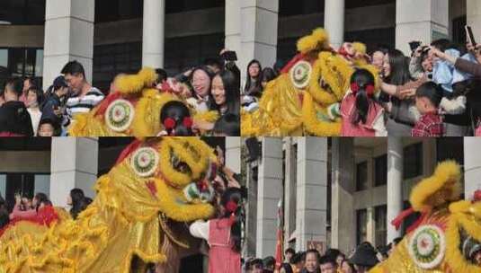 新年活动舞狮表演庆祝新年高清在线视频素材下载