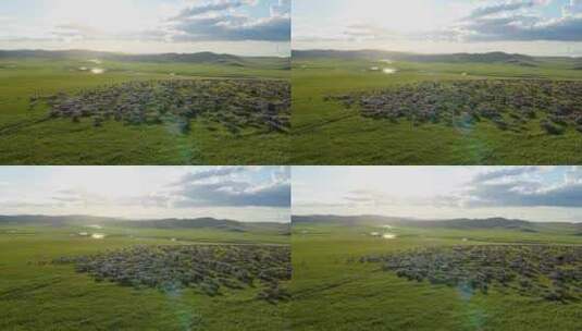 呼伦贝尔草原夏季牧场羊群马群高清在线视频素材下载