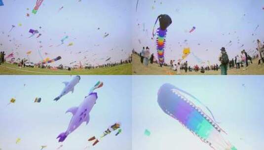 风筝节彩色风筝巨大风筝放风筝高清在线视频素材下载