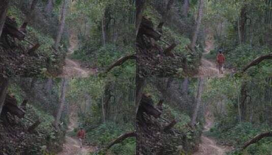 徒步旅行树林森林山林高山峡谷高清在线视频素材下载