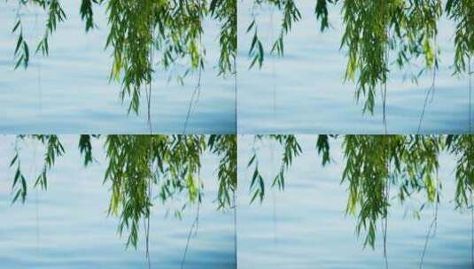 夏日北海公园平静的湖面与柳树高清在线视频素材下载