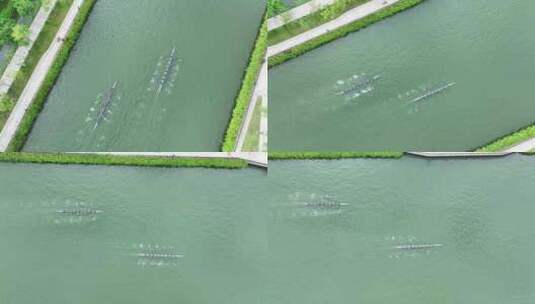 深圳南山大沙河赛艇水上运动比赛航拍高清在线视频素材下载
