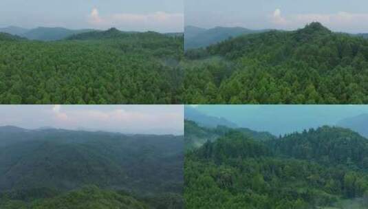 森林云雾缭绕大山高清在线视频素材下载