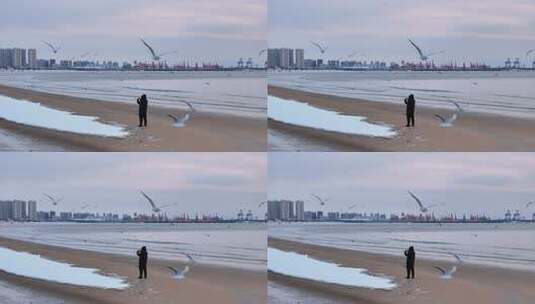 海边有人在拍摄海鸟和城市风景高清在线视频素材下载