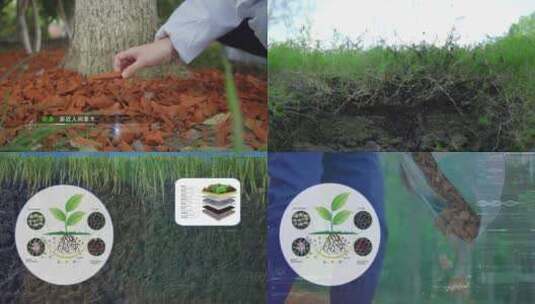 AE土壤改善土质分析高清AE视频素材下载