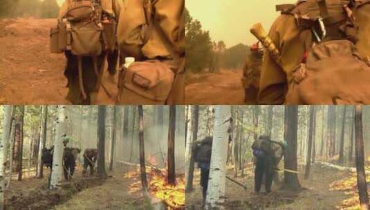 消防队在森林里灭火高清在线视频素材下载