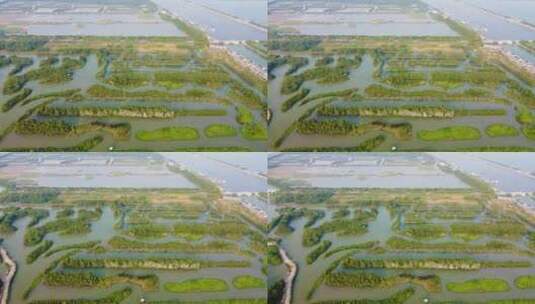 广州市湿地公园自然保护区航拍高清在线视频素材下载
