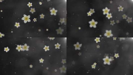 鸡蛋花花朵飘飞LED唯美演绎背景高清在线视频素材下载