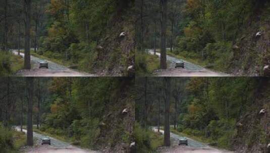 森林小路上停着的小轿车高清在线视频素材下载