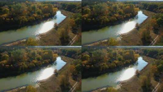 流经秋林的河流高清在线视频素材下载