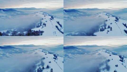 在寒冷的阴天飞越雾蒙蒙的森林高清在线视频素材下载