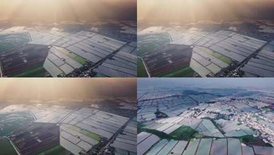 4k航拍云南蔬菜大棚种植基地 3高清在线视频素材下载