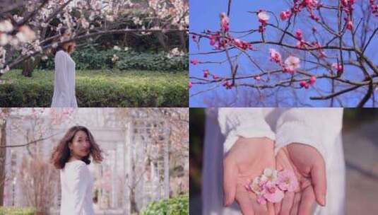 春天-花-美女-自然高清在线视频素材下载