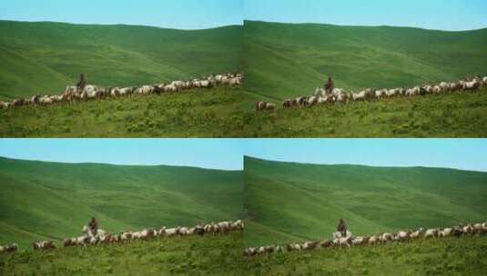草原上放牧的男人高清在线视频素材下载
