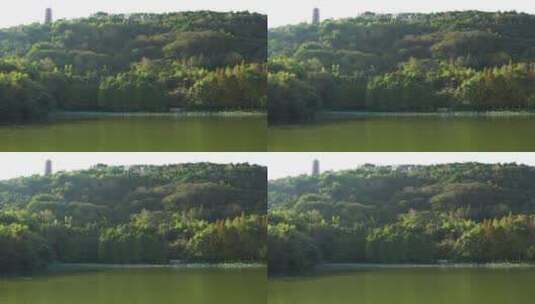 秋天重庆渝北照母山人和水库自然风光高清在线视频素材下载