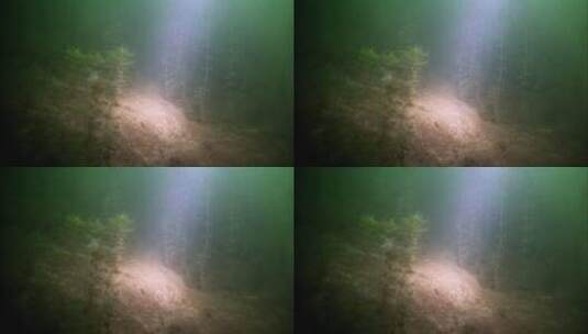 水下镜头高清在线视频素材下载