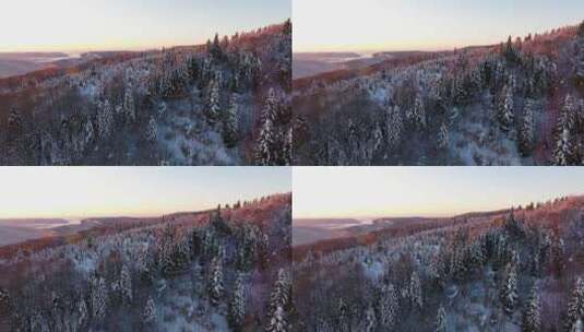 大自然冬天 美丽的森林雪景高清在线视频素材下载