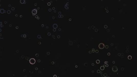 唯美抽象魔幻科技 气泡视频背景素材高清在线视频素材下载