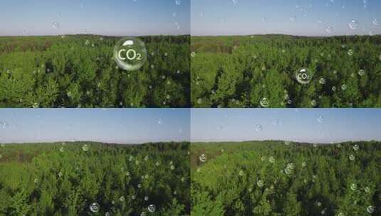 绿色森林生产氧气高清在线视频素材下载