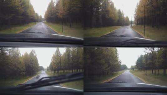 汽车行驶在 下雨的 森林小路上 林间开车高清在线视频素材下载
