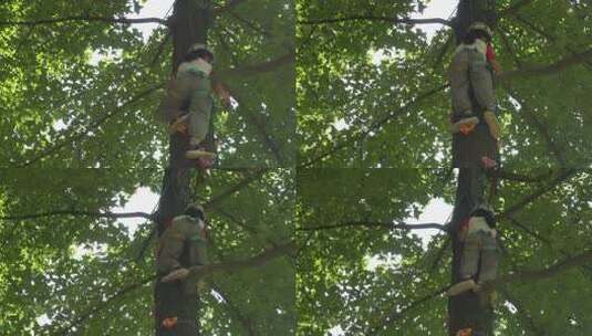一名小女孩爬树到了树顶高清在线视频素材下载
