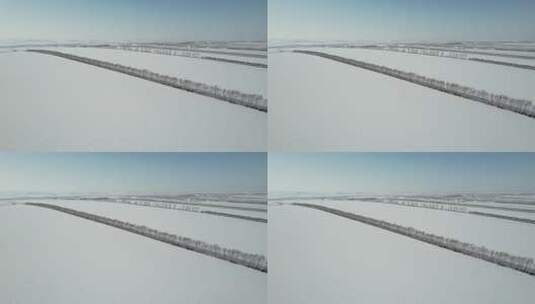 黑龙江五大连池平原雪原自然风光高清在线视频素材下载