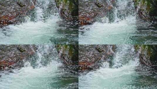 水青苔山泉水流水滴水风景森林自然大自然水高清在线视频素材下载