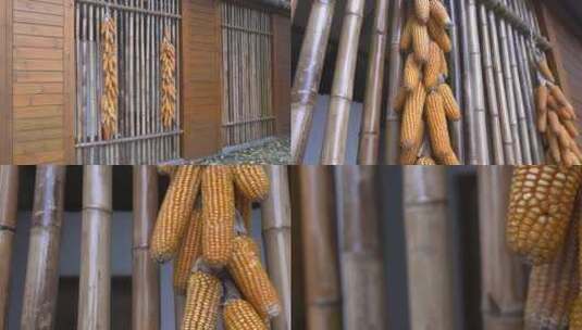 四川成都白天房屋外挂着的玉米高清在线视频素材下载