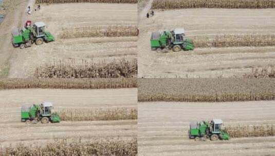 秋天收割机收割麦子航拍高清在线视频素材下载