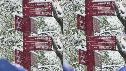 长沙下雪湖南大学岳麓书院高清在线视频素材下载