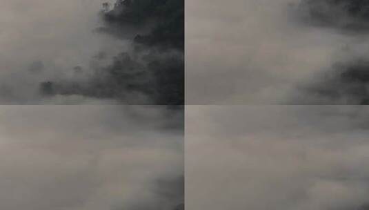 流动的浓雾弥漫覆盖森林高清在线视频素材下载