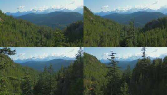 森林雪山山脉的鸟瞰图高清在线视频素材下载