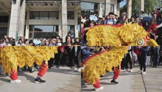 新年活动舞狮表演庆祝新年高清在线视频素材下载