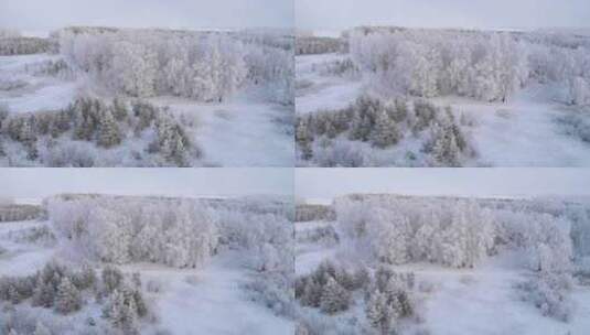 北方冬天银装素裹的森林高清在线视频素材下载