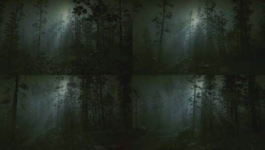 森林中的恐怖场景，黑夜，神秘的树木，雾中高清在线视频素材下载