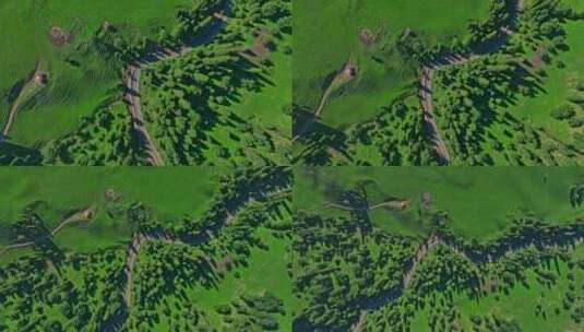 新疆伊犁那拉提国家森林公园HDR航拍高清在线视频素材下载