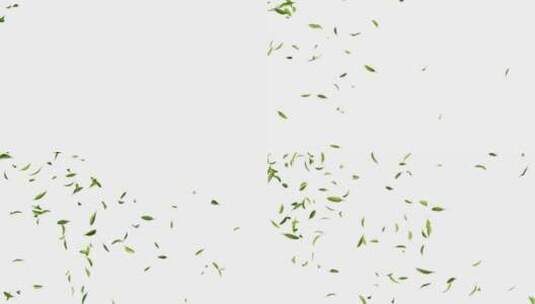 带透明通道的飘动的绿色茶叶三维渲染高清在线视频素材下载