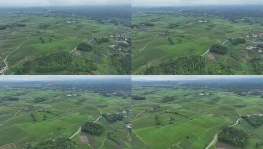 航拍贵州遵义湄潭山野田间夏季茶园风景高清在线视频素材下载