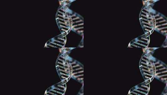 玻璃 DNA 双螺旋链在黑色高清在线视频素材下载