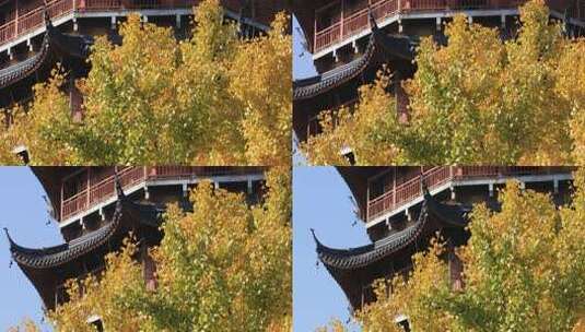 秋天阳光银杏苏州北寺塔古建筑局部特写高清在线视频素材下载