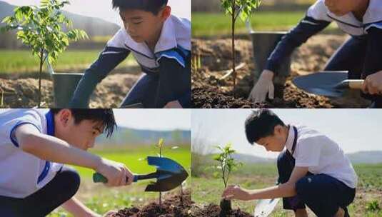 少年植树节公益活动高清在线视频素材下载